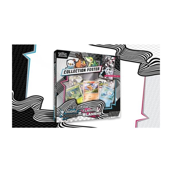 Coffret Poster EV10.5